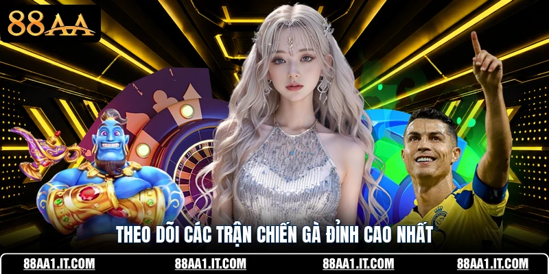 Theo dõi các trận chiến gà đỉnh cao nhất